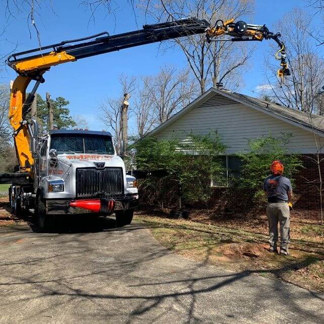 Tree Company Tree Services in Concord & Kannapolis, NC Sidden Tree