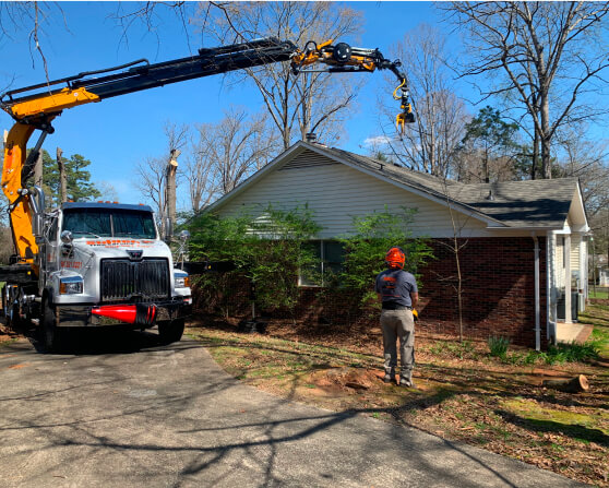 About Sidden Tree Service