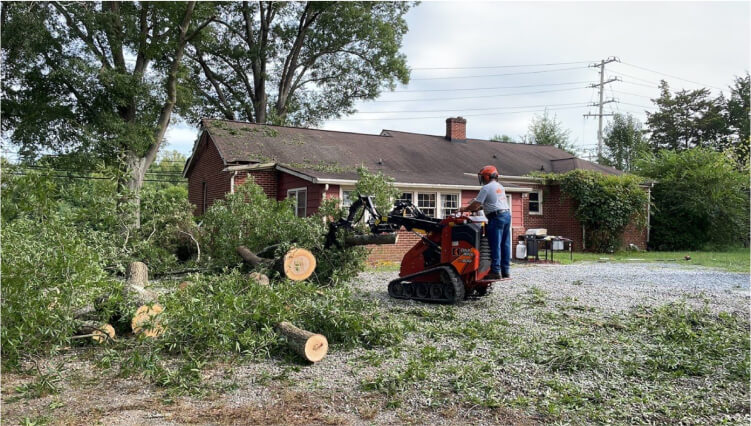 Lot clearing