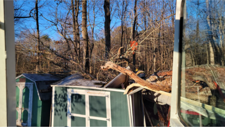 service-area-storm-damage-services